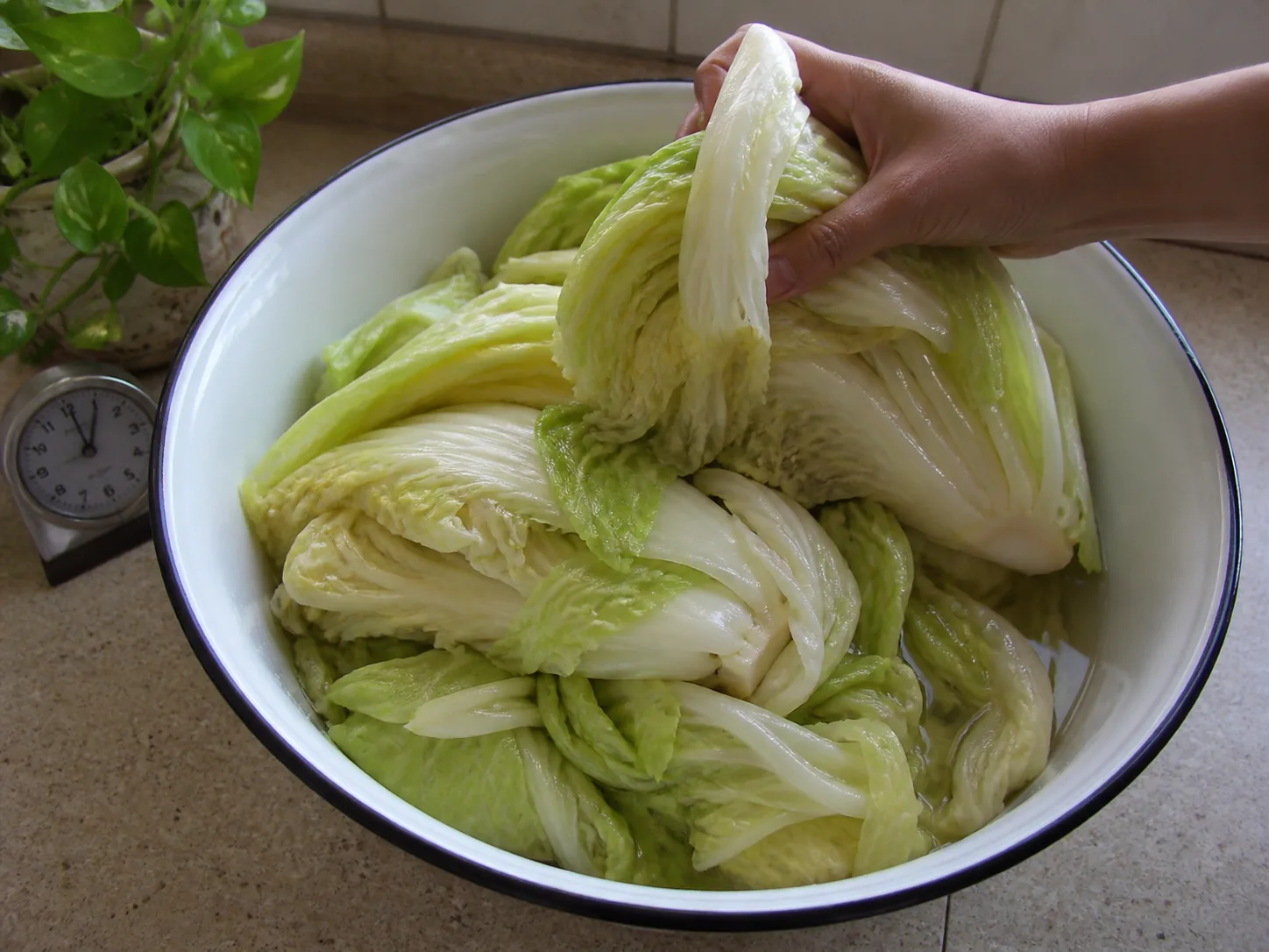 بگذارید بخوابد